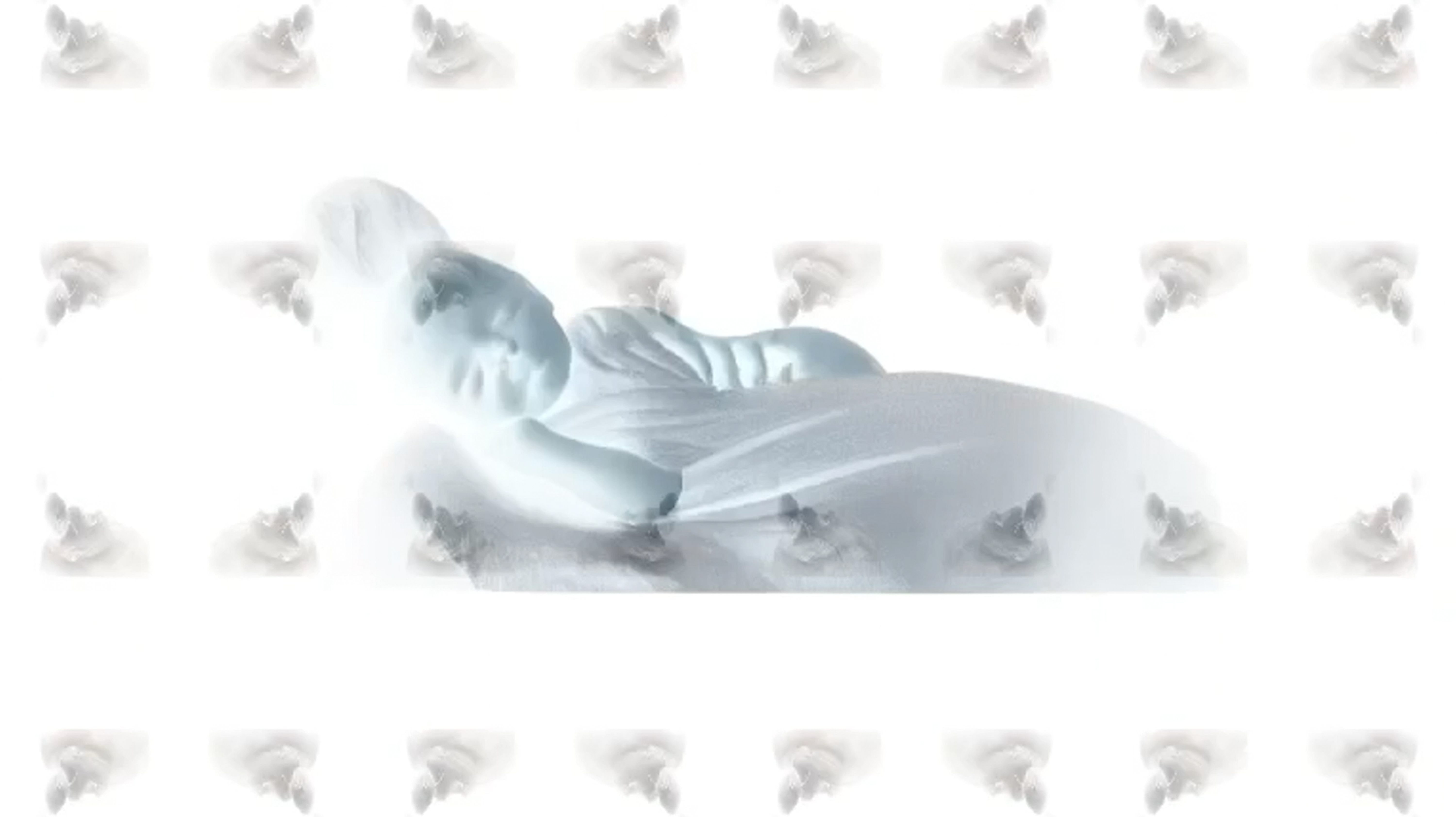 Project image 3