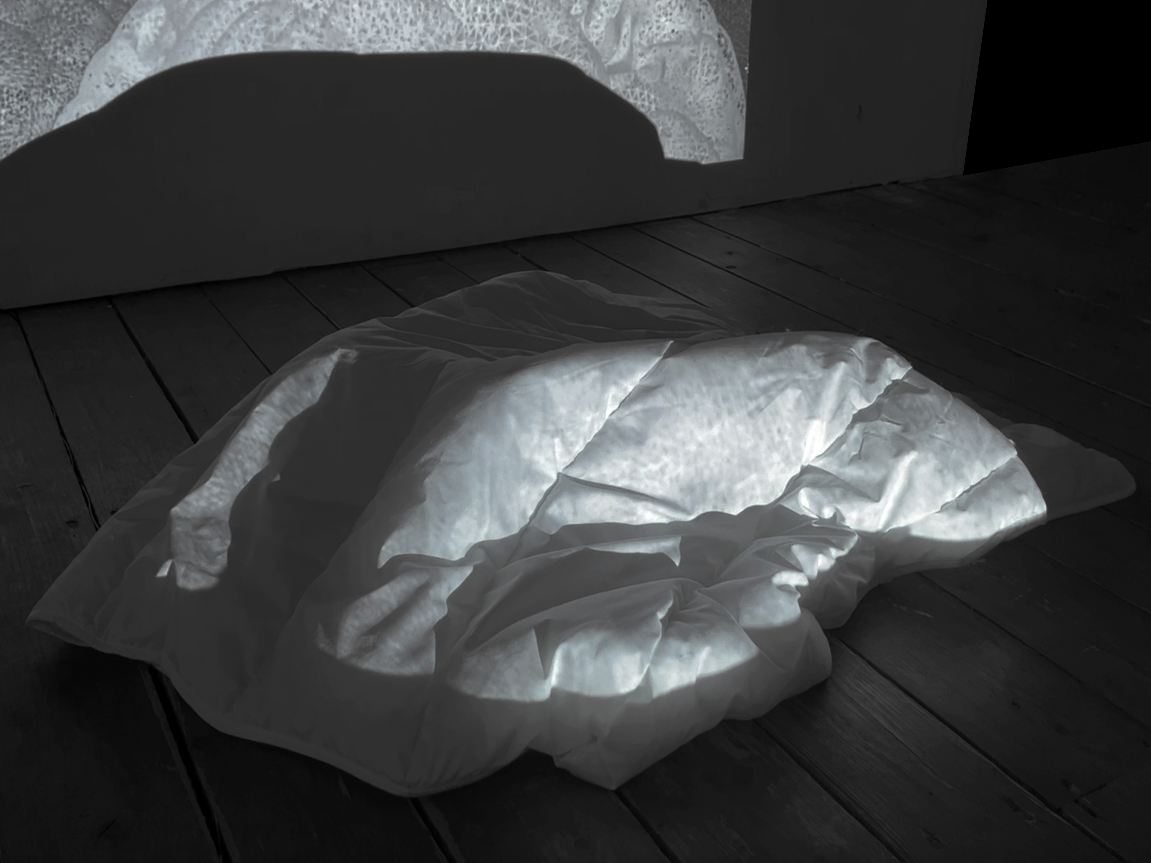 Project image 3